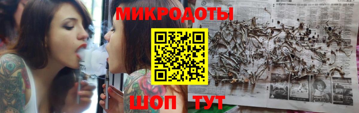 Галлюциногенные грибы Psilocybine cubensis Ижевск